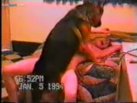 Slut getting smashed by dog in zoofilia porno